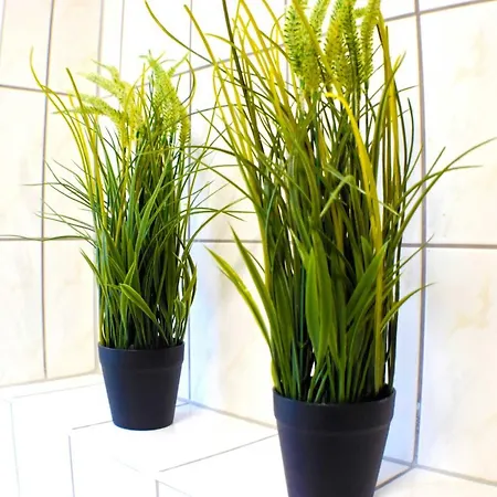 Ruegenliebe 01 Appartement Binz