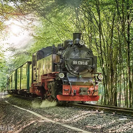 Ruegenliebe 01 Appartement *